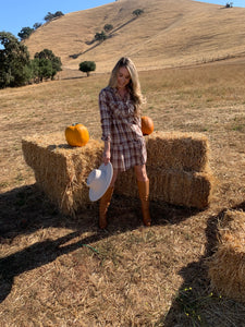 Country Pumpkin Plaid Mini Dress