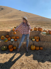 Load image into Gallery viewer, Hay Rides At Dusk Plaid