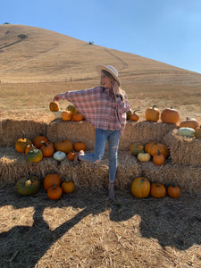 Hay Rides At Dusk Plaid